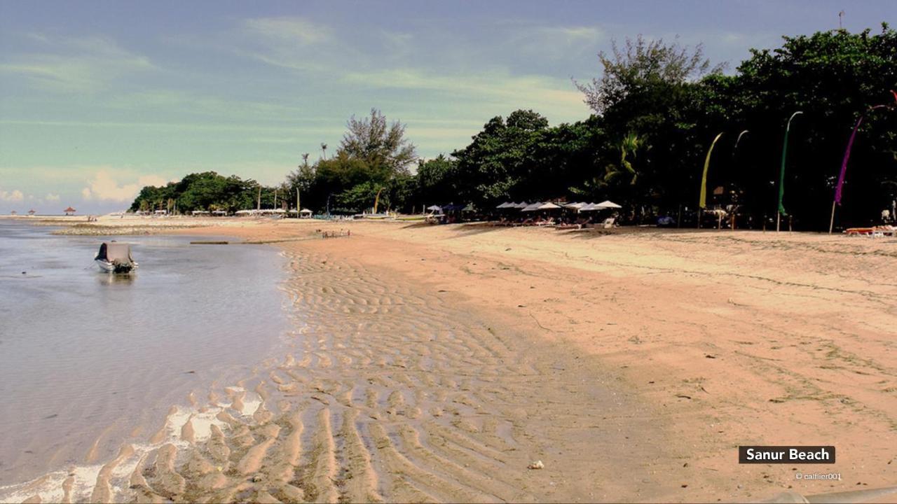 Zen Villa Sanur Art Dış mekan fotoğraf